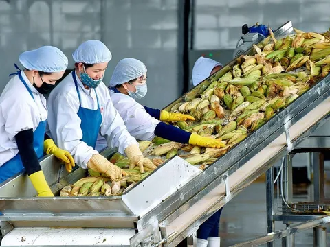 Tận dụng cơ hội, đẩy mạnh xuất khẩu nông sản