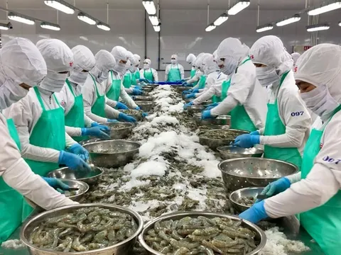Tận dụng hiệu quả các FTA: “Chìa khóa” cho xuất khẩu hàng hóa năm 2023