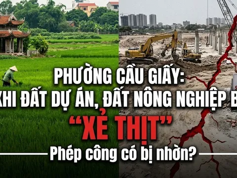 Phường Cầu Giấy: Khi đất dự án, đất nông nghiệp bị “XẺ THỊT” - Phép công có bị nhờn?