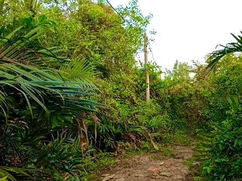 TP.HCM: Tranh chấp đất tại phường Long Trường, nhiều nghi vấn cần làm rõ