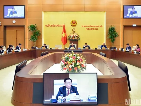 Tạo cơ sở pháp lý cho việc xử phạt hành vi vi phạm pháp luật trong lĩnh vực kiểm toán nhà nước