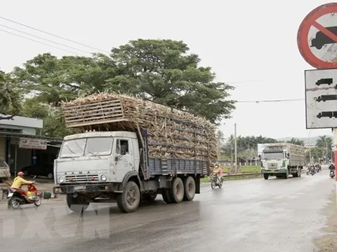 Tăng cường kiểm tra điều kiện kinh doanh vận tải hàng hóa bằng xe ôtô