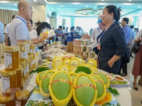 Thúc đẩy kinh tế giữa các địa phương và Trùng Khánh của Trung Quốc