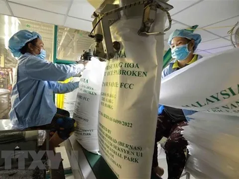 Kim ngạch xuất khẩu gạo của cả nước 4 tháng năm 2023 tăng 54,5%