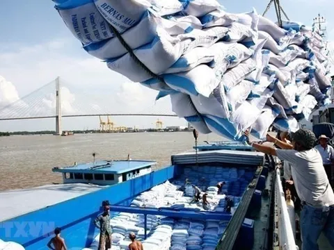 Đơn hàng khó khăn: Doanh nghiệp đẩy mạnh liên kết, sử dụng trong chuỗi