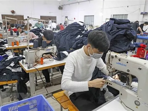 Cần chính sách sát thực tế để chuyển hộ kinh doanh thành doanh nghiệp