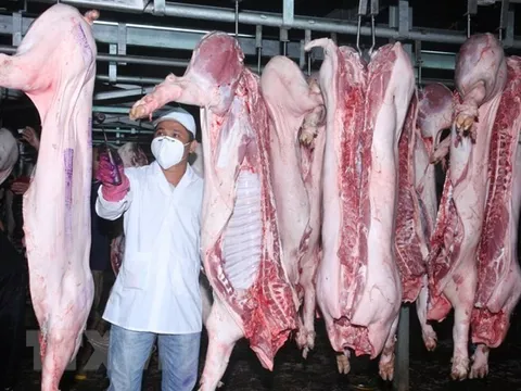 Giám sát cơ sở giết mổ, đảm bảo vệ sinh thực phẩm ở Hà Nội