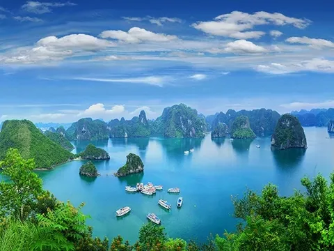 Tạp chí Forbes: Vịnh Hạ Long nằm trong 24 điểm đến tốt nhất cho năm 2024
