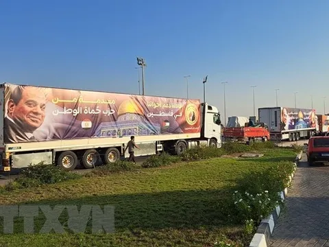 WHO kêu gọi đưa thêm nhiều chuyến hàng viện trợ nhân đạo vào Dải Gaza