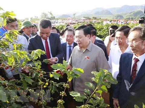 Chủ tịch Quốc hội Vương Đình Huệ thăm vùng trồng càphê ở Sơn La