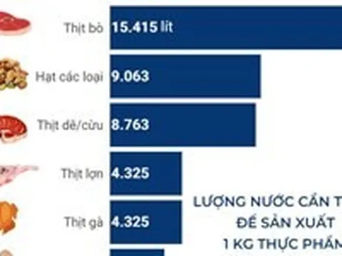 Mức tiêu thụ nước trong sản xuất thực phẩm