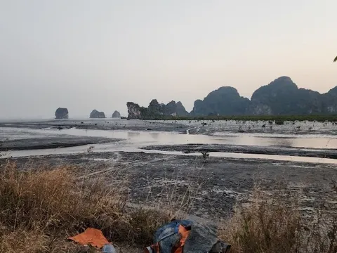 Quảng Ninh: Xử phạt Công ty Trách nhiệm hữu hạn Đỗ Gia Capital 125 triệu đồng