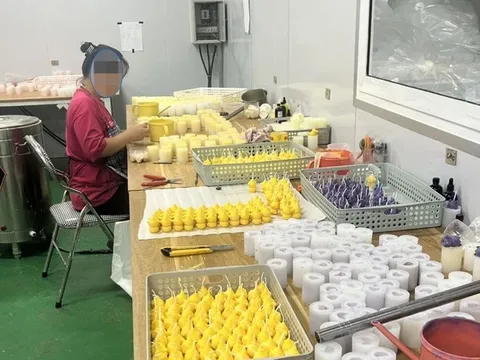 Xử phạt 85 triệu đồng doanh nghiệp tự ý chuyển dự án chăn nuôi bò sang sản xuất nến