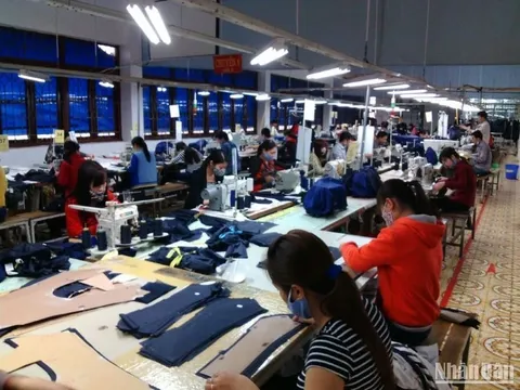 Thái Bình: Hơn 1.000 doanh nghiệp được cấp giấy chứng nhận đăng ký kinh doanh