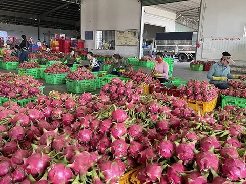 Mô hình canh tác thông minh, thích ứng biến đổi khí hậu