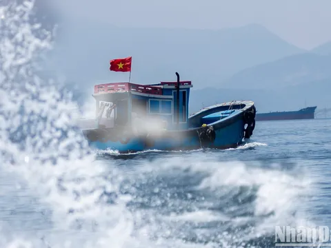 Những giá trị tiềm năng của vùng bờ biển Việt Nam