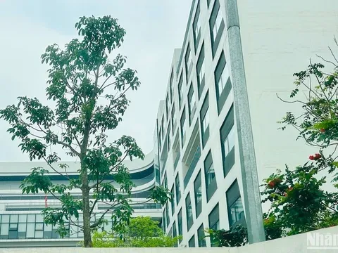 Chỉ tiêu tuyển sinh lớp 10 trường tư thục năm học 2024-2025 tại Hà Nội