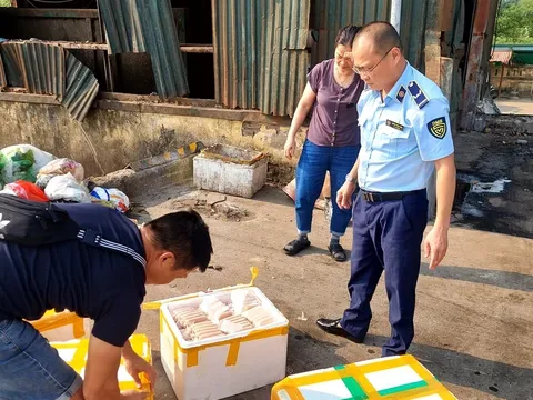 Hà Nội: Liên tiếp phát hiện kinh doanh hàng hóa thực phẩm không rõ nguồn gốc