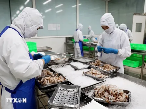 Hoa Kỳ là thị trường xuất khẩu lớn nhất của Việt Nam trong 4 tháng