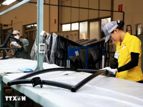 Thái Bình muốn thu hút đầu tư và hợp tác kinh doanh với các đối tác của Bỉ
