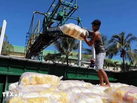 Bộ Công Thương đảm bảo mục tiêu kép trong điều hành xuất khẩu gạo