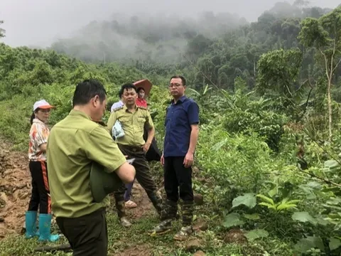Xử lý nghiêm vụ phá rừng phòng hộ ở Bắc Kạn