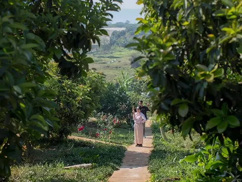 Farmstay: Hướng đi tiềm năng của du lịch nông nghiệp, nông thôn