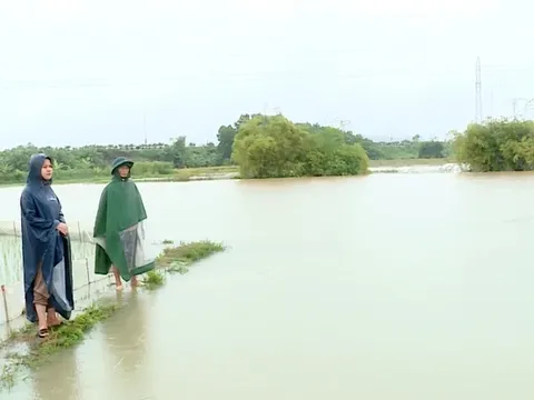 Tuyên Quang mưa lớn kéo dài gây thiệt hại về nhà ở và nhiều diện tích cây nông nghiệp