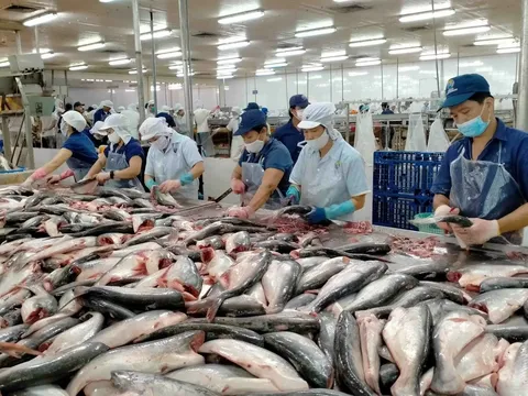 Việt Nam là quốc gia đứng thứ 3 thế giới về xuất khẩu thủy sản