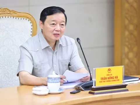 Phó Thủ tướng Trần Hồng Hà: Quy hoạch chi tiết nhóm cảng biển phải đồng bộ, thống nhất