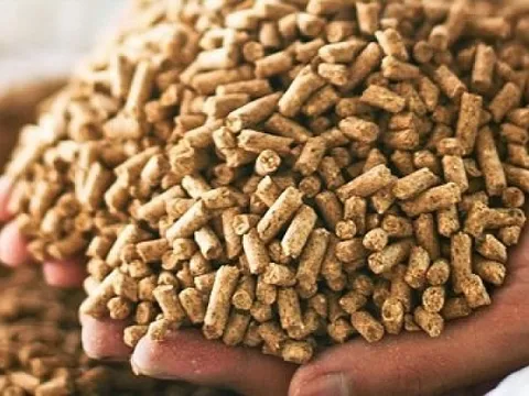 Điểm tên 2 thị trường xuất khẩu lớn nhất lớn nhất thức ăn gia súc của Việt Nam