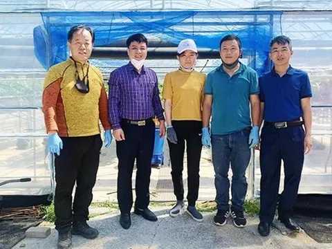 Cảnh báo lừa đảo về chương trình lao động thời vụ diện visa E8 tại Hàn Quốc