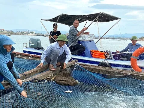 Dồn lực khôi phục sản xuất sau bão