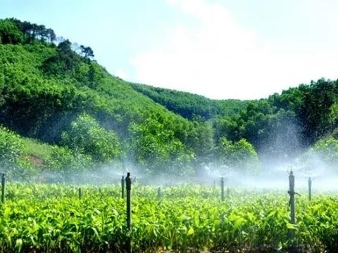 Thủ tướng kiện toàn Ban chỉ đạo Trung ương thực hiện Chương trình phát triển lâm nghiệp bền vững