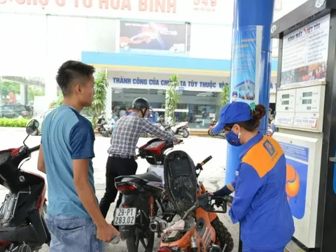 313 doanh nghiệp tham gia hệ thống cơ sở dữ liệu xăng dầu
