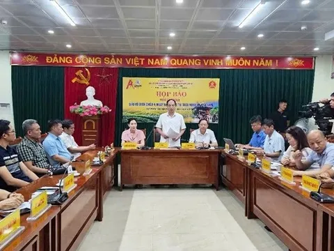 Thái Nguyên sẵn sàng cho Giải vô địch Muay châu Á 2025