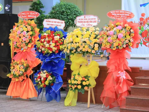 Nỗi đau của hoa