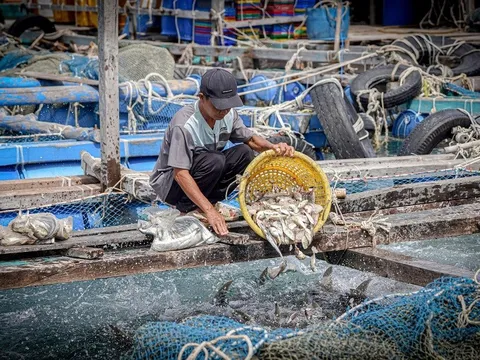 Agribank khơi nguồn động lực phát triển kinh tế biển tại đặc khu Kiên Hải, tỉnh An Giang