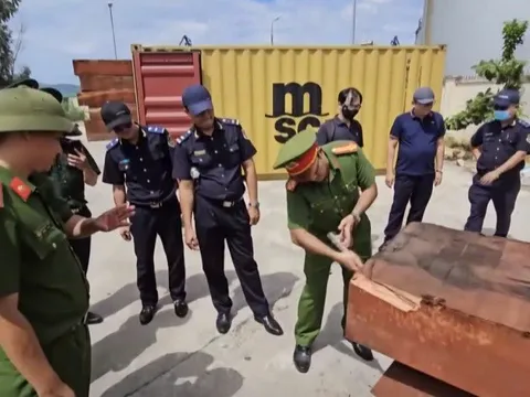 Khởi tố vụ án buôn lậu hơn 1,1 tấn ngà voi tại tỉnh Gia Lai
