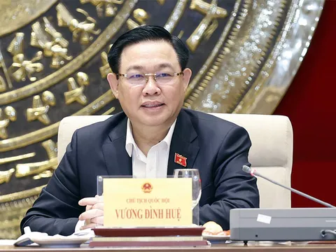 Dừng dự án điện Ninh Thuận: Chủ trương, quyết sách đúng đắn của Trung ương