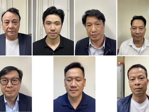 Bắt Chủ tịch Tập đoàn Tân Hoàng Minh và 06 đồng phạm