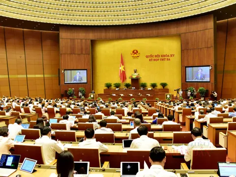 Không thu hẹp đối tượng xử phạt vi phạm hành chính trong lĩnh vực sở hữu trí tuệ
