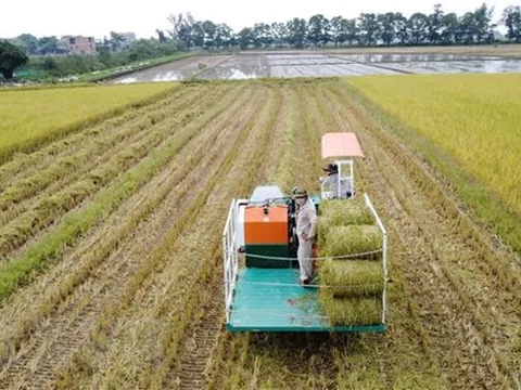Doanh nghiệp, HTX, hộ kinh doanh được hỗ trợ lãi suất 2% mỗi năm