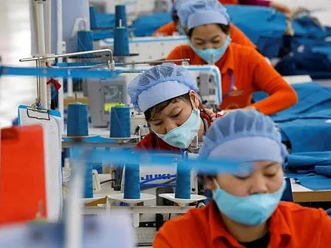 Ngày càng nhiều doanh nghiệp châu Âu lựa chọn thị trường Việt Nam