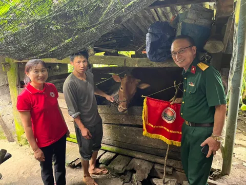 Chi hội Hỗ trợ khắc phục hậu quả bom mìn Hà Nội 4 tặng bò cho nạn nhân bom mìn tại Hà Giang