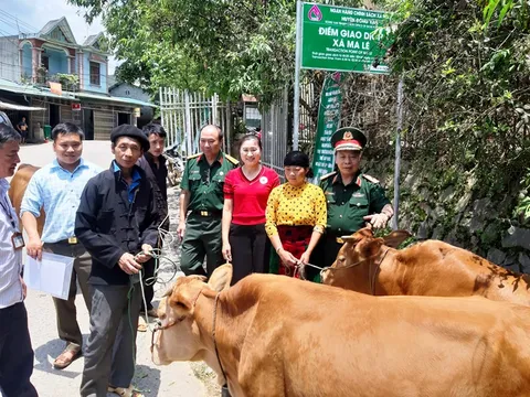 Hỗ trợ sinh kế nạn nhân bom mìn tại Hà Giang