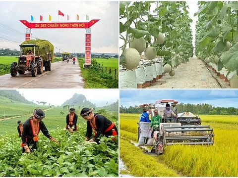 Ban Chỉ đạo Trung ương các chương trình mục tiêu quốc gia giai đoạn 2021-2025 sẽ họp trực tuyến với các địa phương