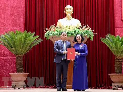 Ông Nguyễn Phi Long được phân công làm Bí thư Tỉnh ủy Hòa Bình