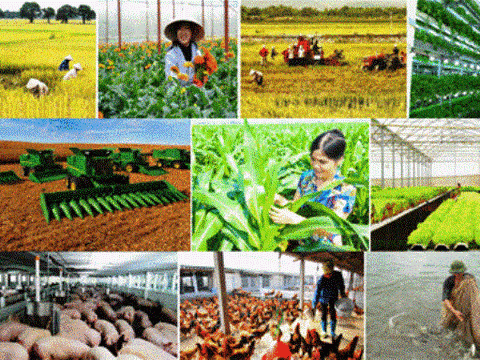 Thực hiện các giải pháp hỗ trợ nông dân, phục hồi phát triển nông nghiệp, nông thôn bền vững
