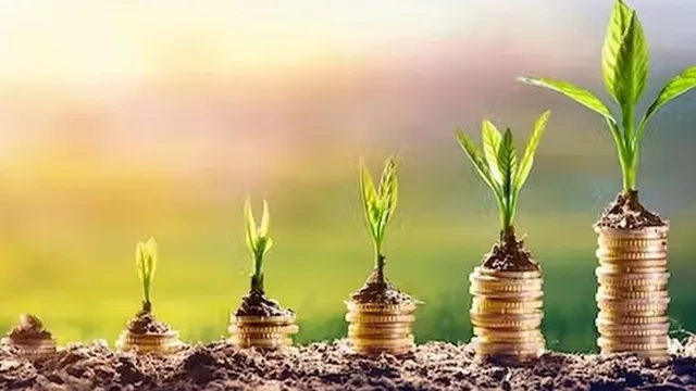 COP15: Thêm 6 nước cam kết tăng hỗ trợ tài chính bảo tồn hệ sinh thái